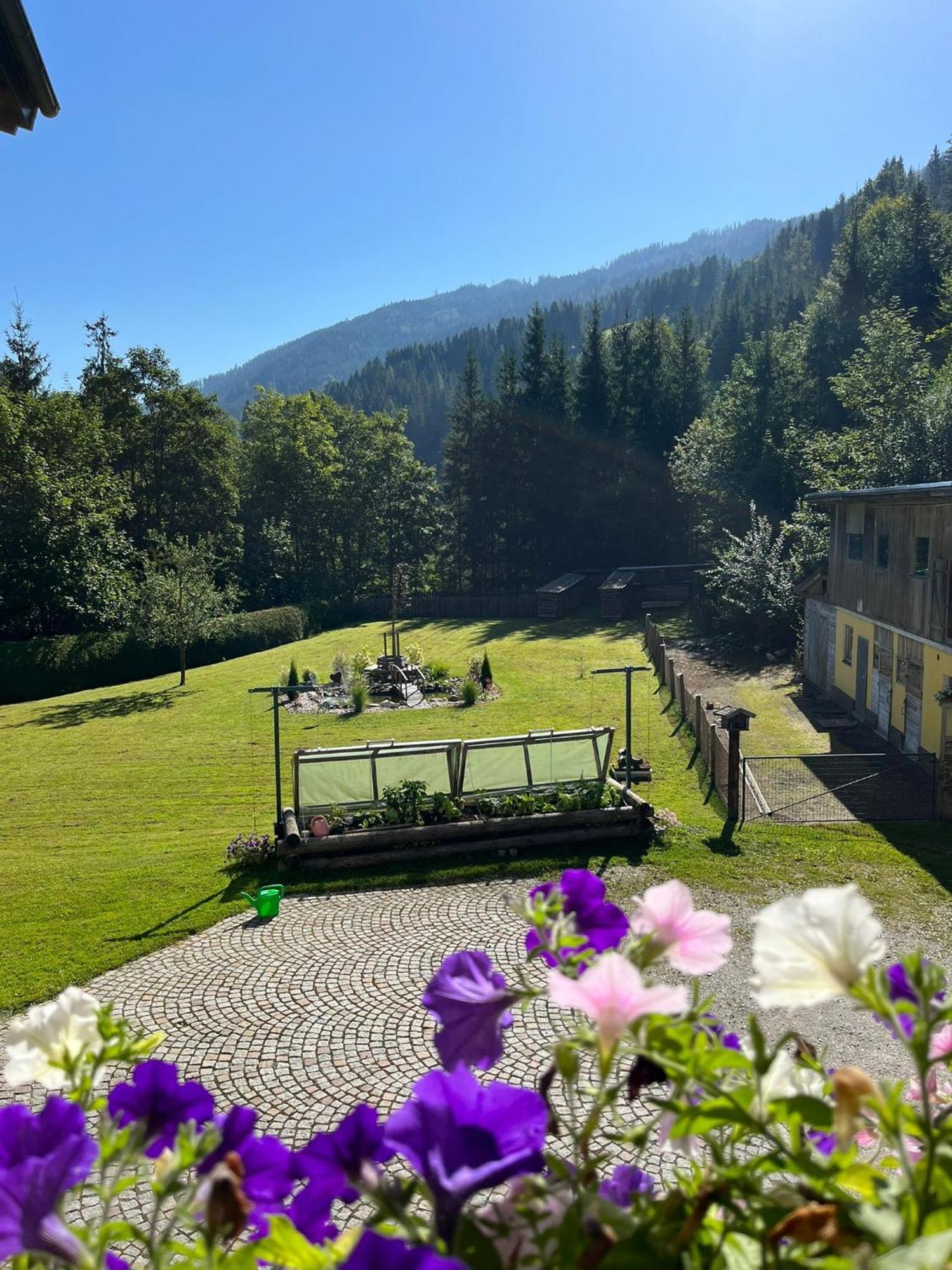 Haus Rosina Apartman Mühlbach am Hochkönig Kültér fotó